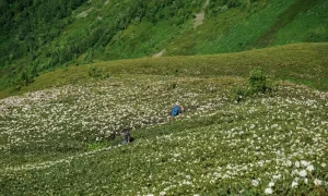 Svaneti hiking trip, near Ushguli