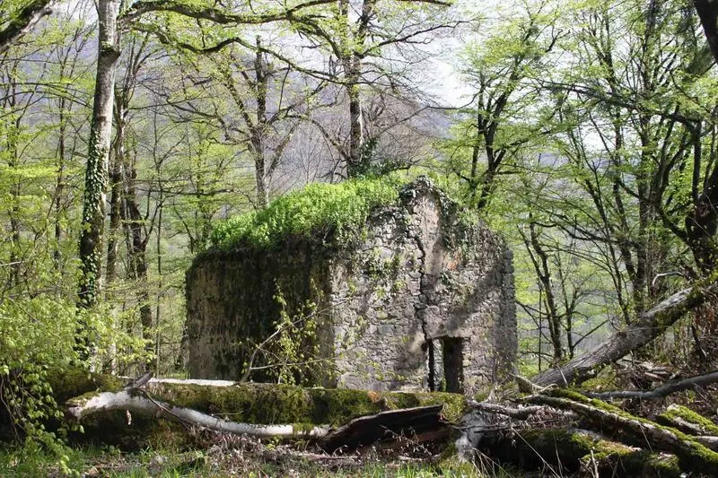 Machi castle, Lagodekhi